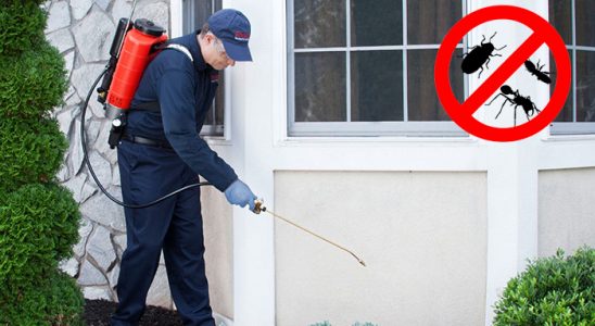Koyundere Bit İlaçlama böcek ilaçlama ve haşere kontrolü — ilaclama-tr.com